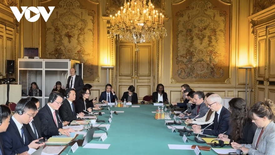 France, Vietnam hold annual high-level economic dialogue