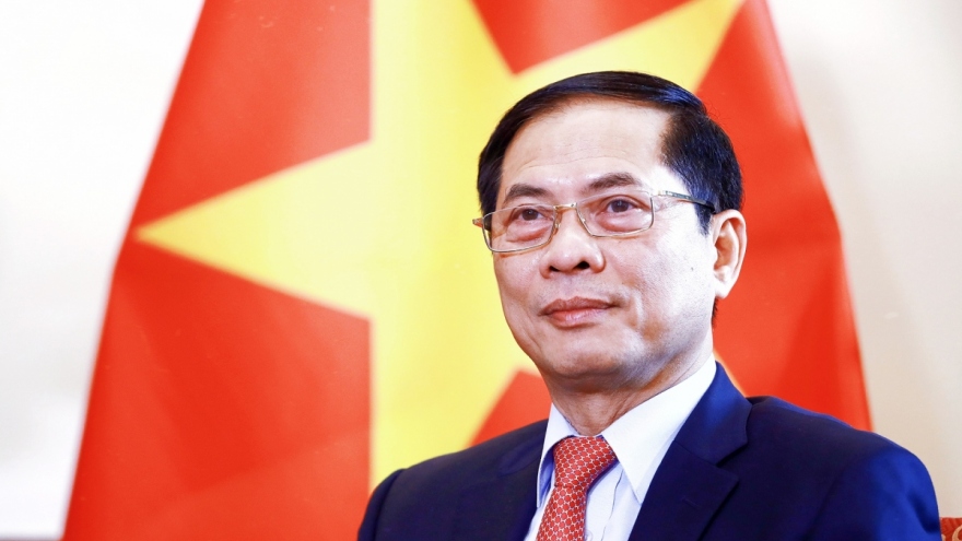 Foreign Minister Bui Thanh Son to pay official visit to RoK