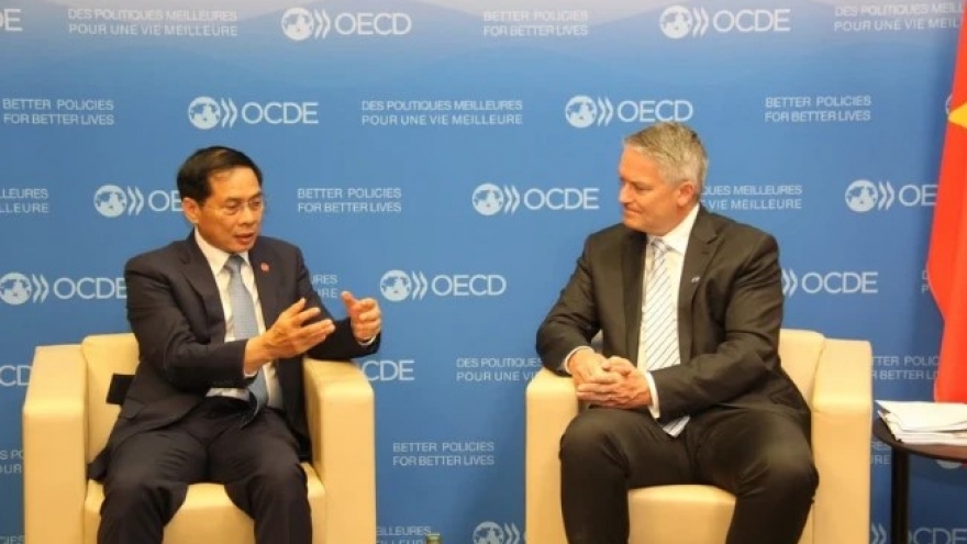 Vietnam seeks broader cooperation with OECD
