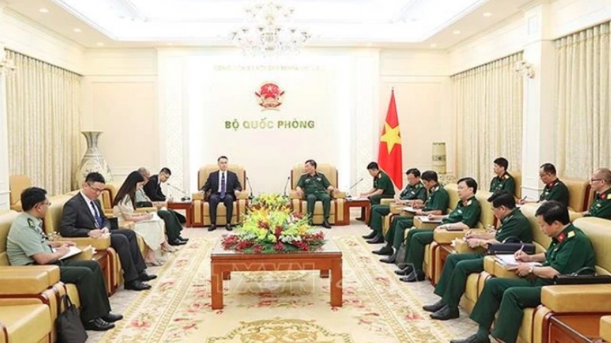 Vietnam - China land border cooperation strengthened: official