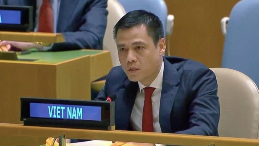 Vietnam strongly condemns genocide crime: Ambassador