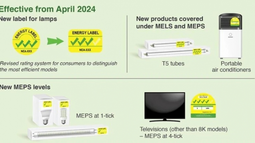 Domestic firms advised to track Singapore’s new appliance energy regulations