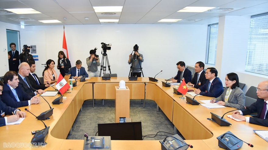 Vietnam considers Peru a leading partner in region