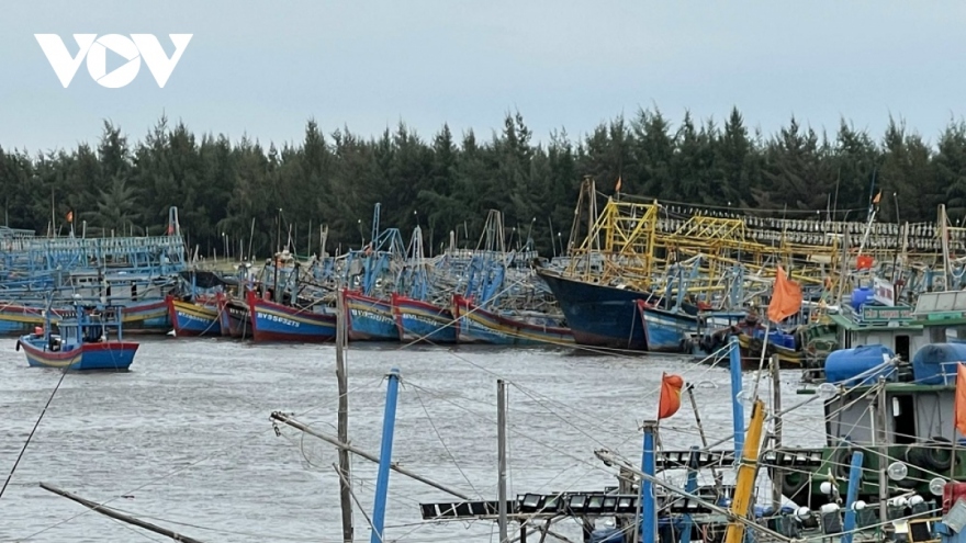 Chuyển cơ quan điều tra 2 cảng cá ở Bà Rịa – Vũng Tàu vi phạm IUU