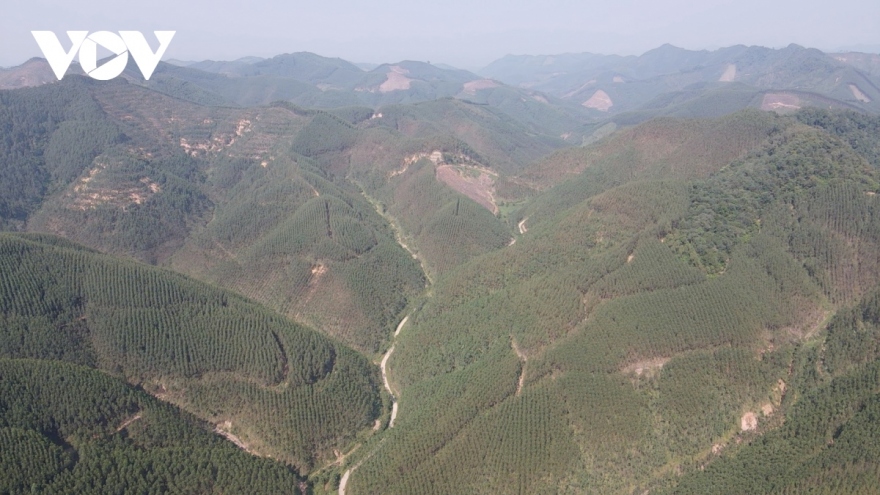 Bắc Giang chuyển đổi mục đích sử dụng hơn 27 ha rừng sản xuất để thực hiện 7 dự án