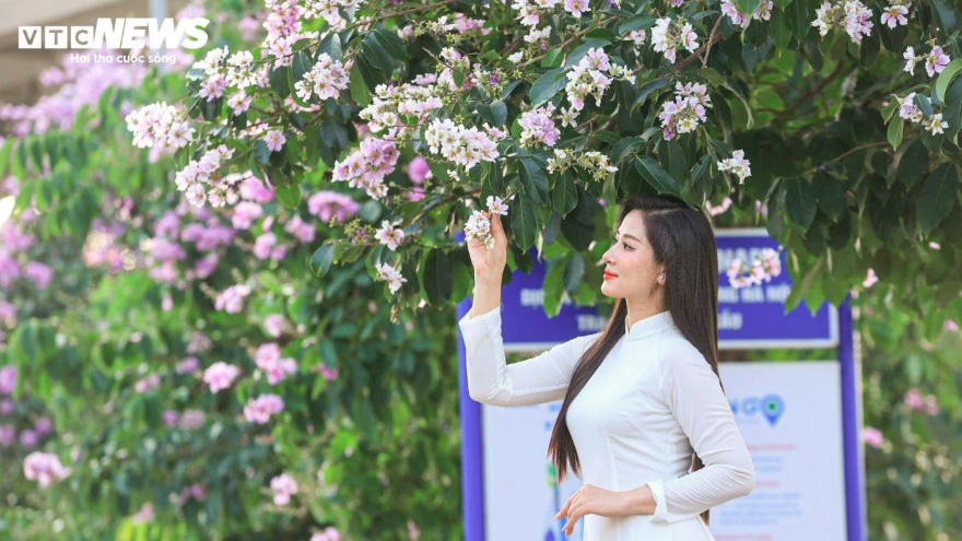 Hanoi streets turn purple with blossoming crape myrtle flowers