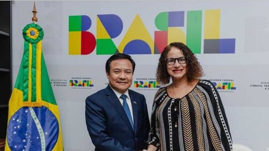 Brazil sanguine of huge potential for cooperation with Vietnam