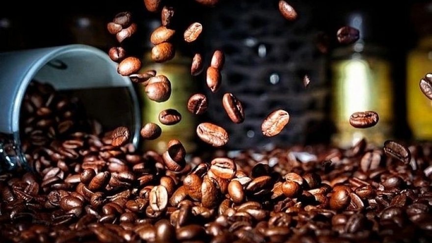 Giá cà phê hôm nay 21/5: Cà phê trong nước tiếp tục tăng giá thu mua
