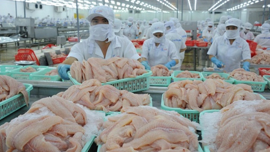 Tra fish exports to EU market plunge