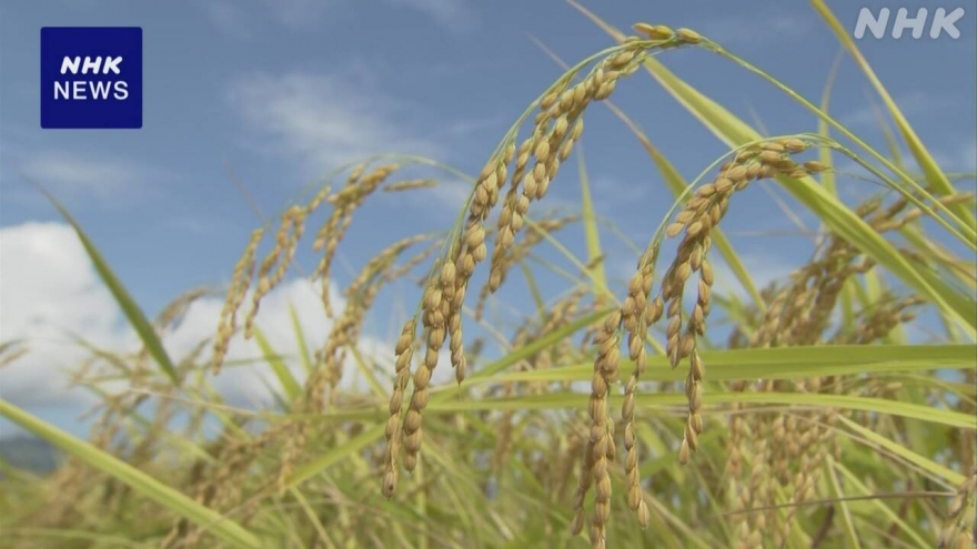 Hạ viện Nhật Bản thông qua dự luật sửa đổi Đạo luật về lương thực và nông nghiệp