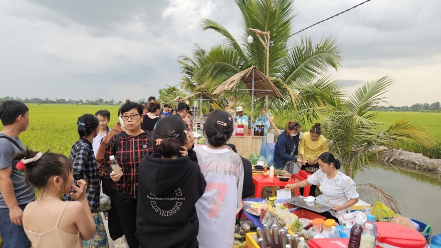 Chợ trên cánh đồng lúa, nét mới của hợp tác xã tại Đồng Tháp