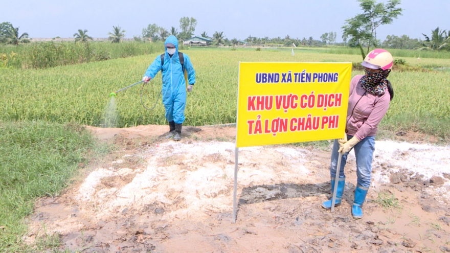 Dịch tả lợn Châu Phi tiếp tục lây lan trên diện rộng ở Quảng Ninh