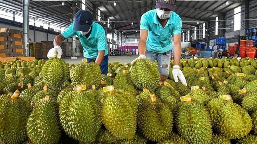Durian exported to China does not contain excessive cadmium levels: test results