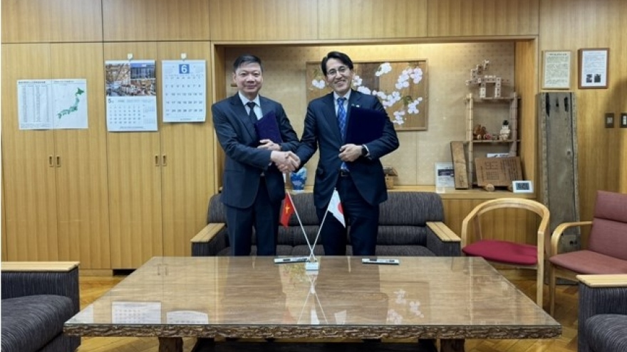 Vietnam, Japan eye stronger cooperation in forestry management