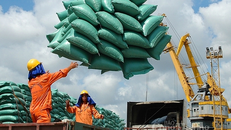 Vietnamese rice exports skyrocket at high-end markets