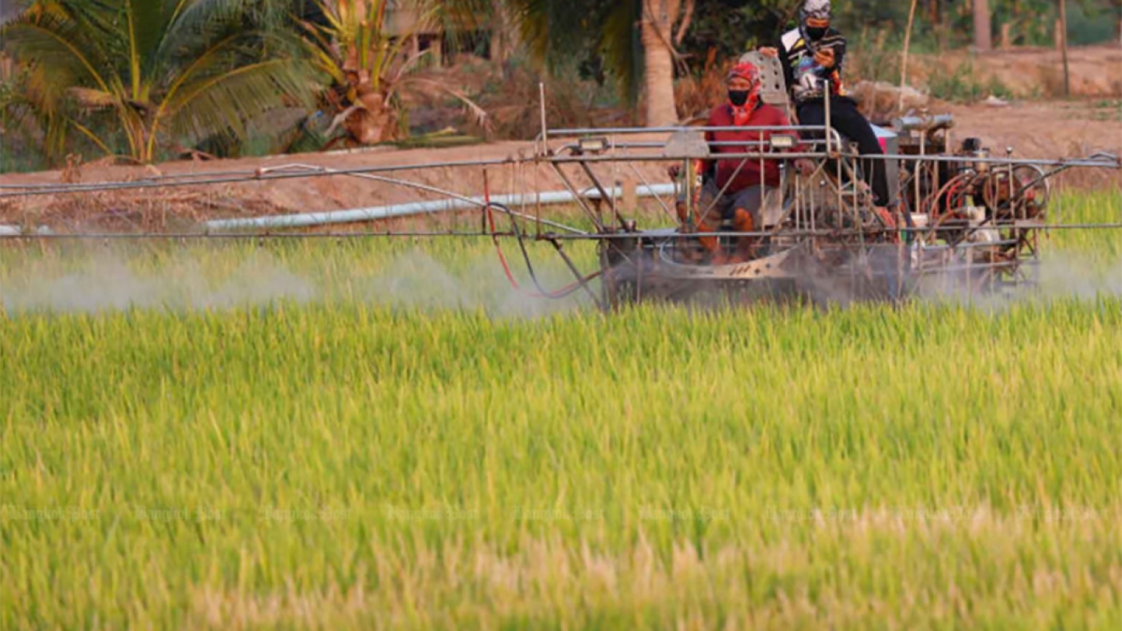 Thái Lan chuyển đổi phương thức canh tác lúa ứng phó biến đổi khí hậu