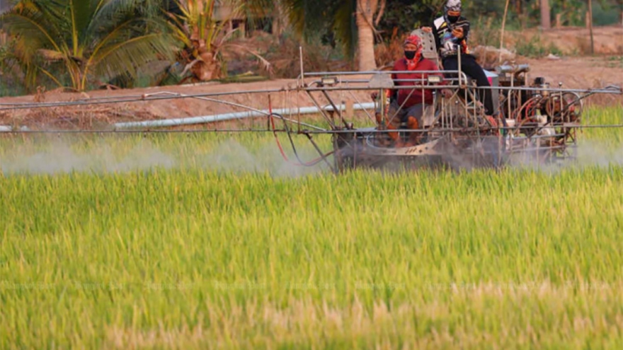Thái Lan chuyển đổi phương thức canh tác lúa ứng phó biến đổi khí hậu