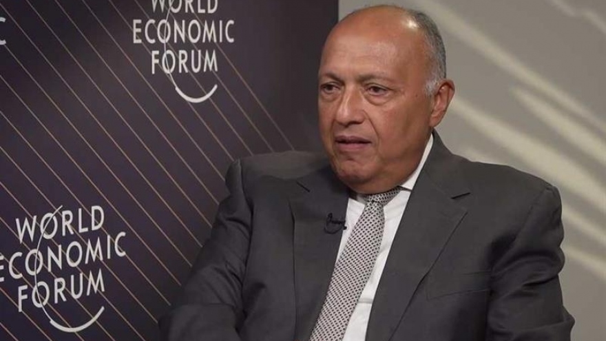Ngoại trưởng Ai Cập và Pháp thảo luận về tình hình khu vực Trung Đông