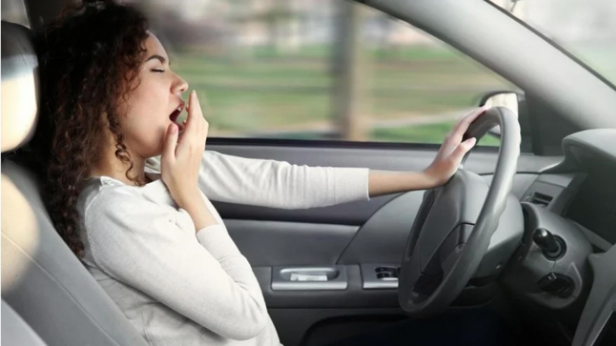 Ngáy và ngưng thở khi ngủ, âm thầm gây hại cho tài xế