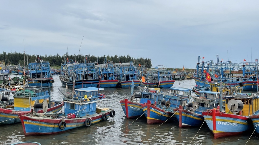 Nhiều tàu cá ở Bà Rịa - Vũng Tàu vi phạm quy định IUU