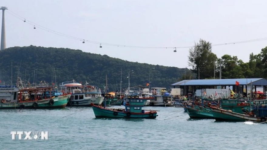Ba Ria - Vung Tau gears up for EC inspection with "peak month" plan