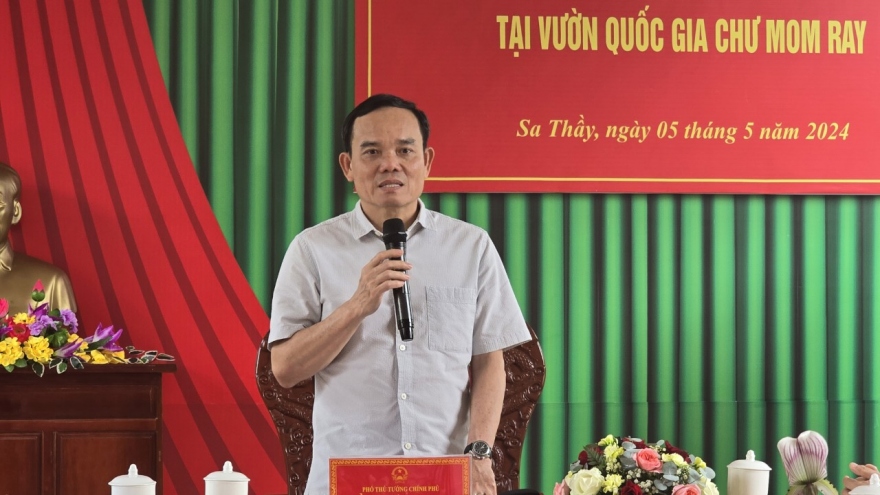 Phó Thủ tướng Trần Lưu Quang kiểm tra công tác quản lý bảo vệ rừng tại Kon Tum