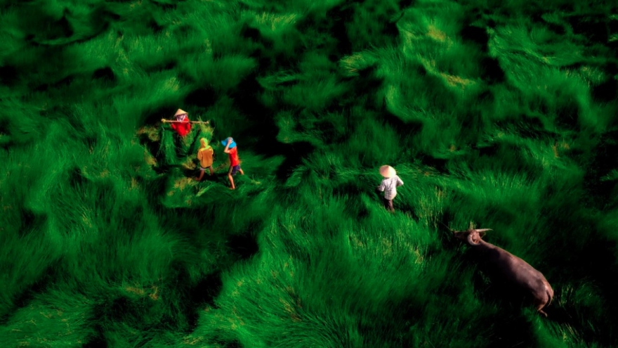 Photos of Vietnamese landscapes honoured at 35AWARDS Photography Award