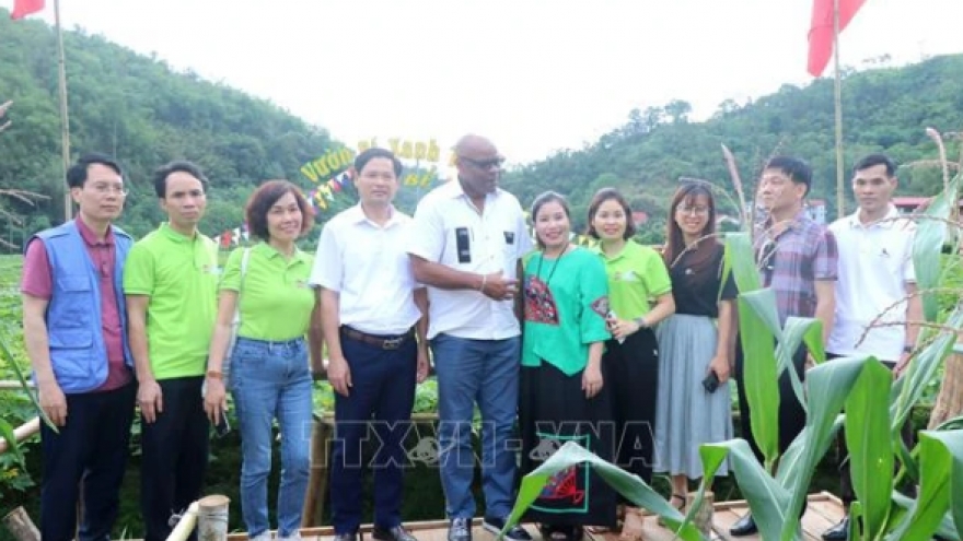 FAO supports Bac Kan’s agro-forestry development