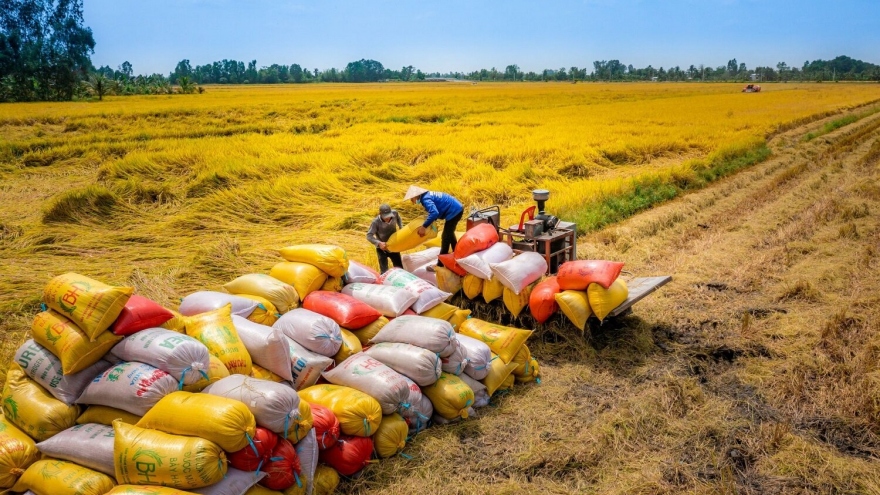 Thế giới thiếu 7 triệu tấn gạo, Việt Nam có thể xuất khẩu bao nhiêu?