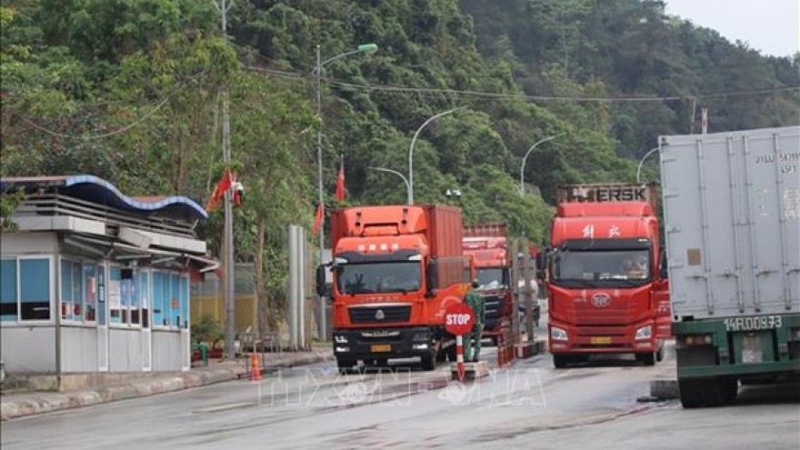 Nearly 55,800 tonnes of agricultural products exported via Lang Son border gate
