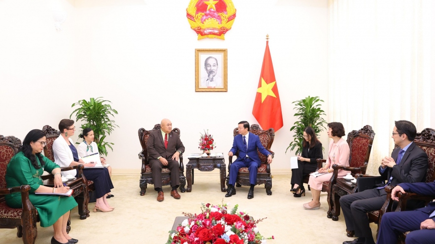 Vietnam keen for WHO support to improve preventive healthcare system