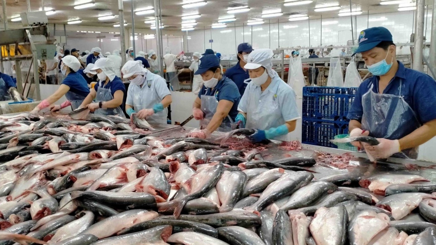 Pangasius exports to US records upturn in March