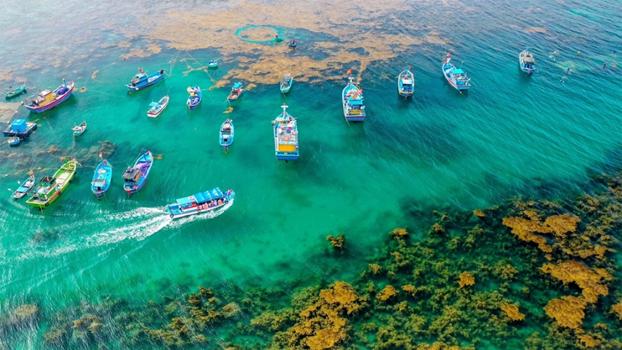 Perfect summer getaway to fishing villages in Binh Dinh