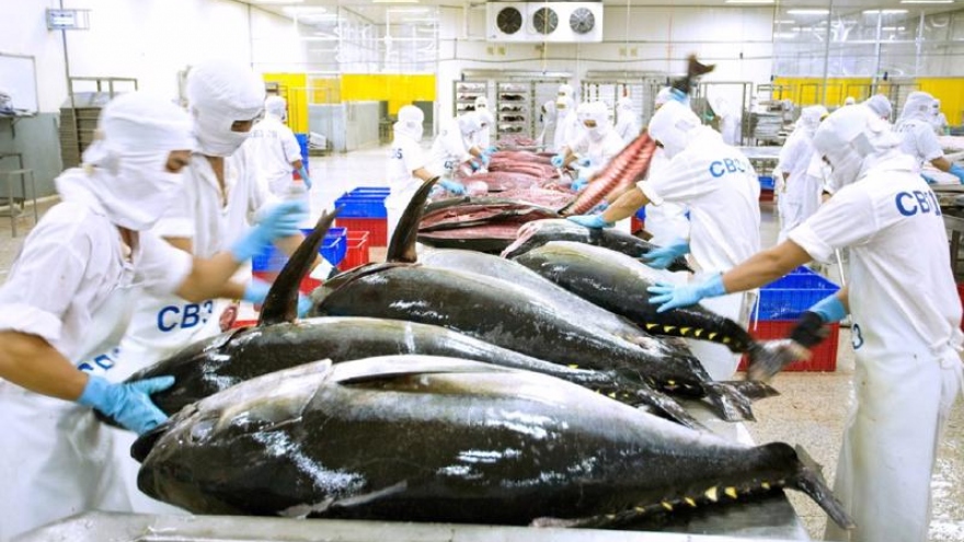Vietnamese processed tuna exports see upswing