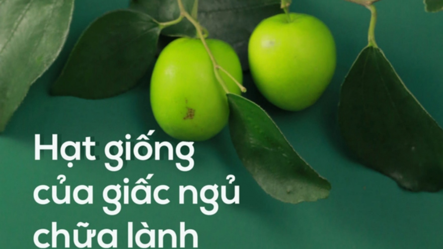 Bí quyết từ hạt táo ta giúp ngủ ngon, ngủ sâu