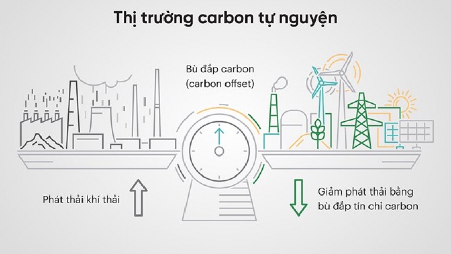 Xây dựng thị trường tín chỉ carbon: Những yêu cầu đặt ra cho Việt Nam