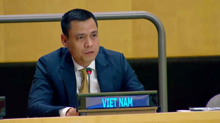 Vietnam pledges continued support for people affected by humanitarian crises