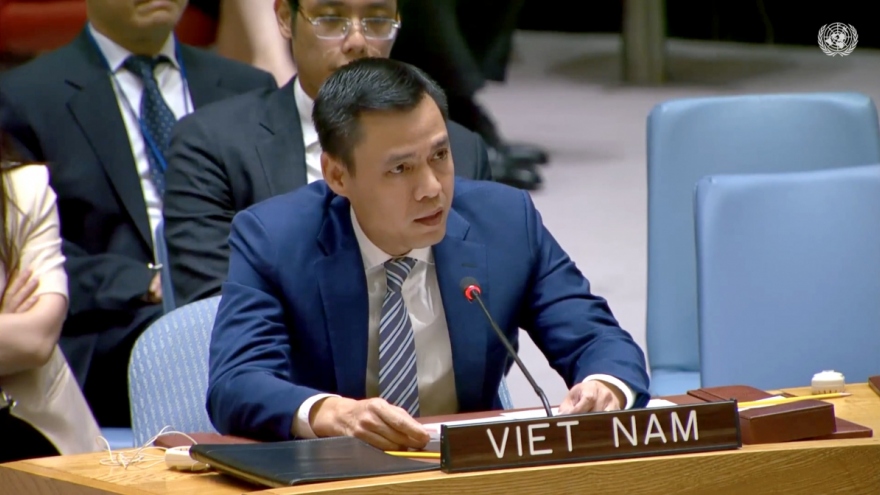Vietnam backs UNSC’s role in dealing with global cyber security challenges