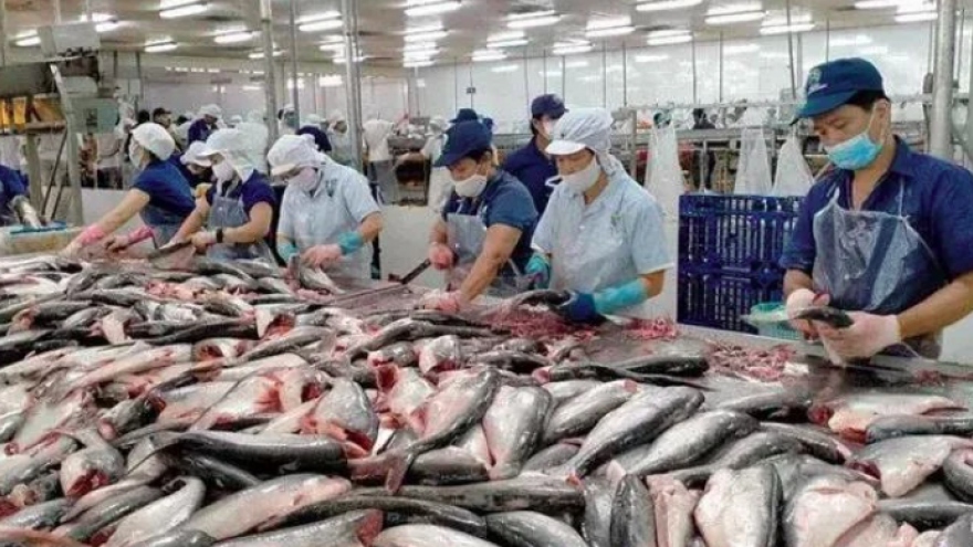 Fishery export grows 6.5% in five months