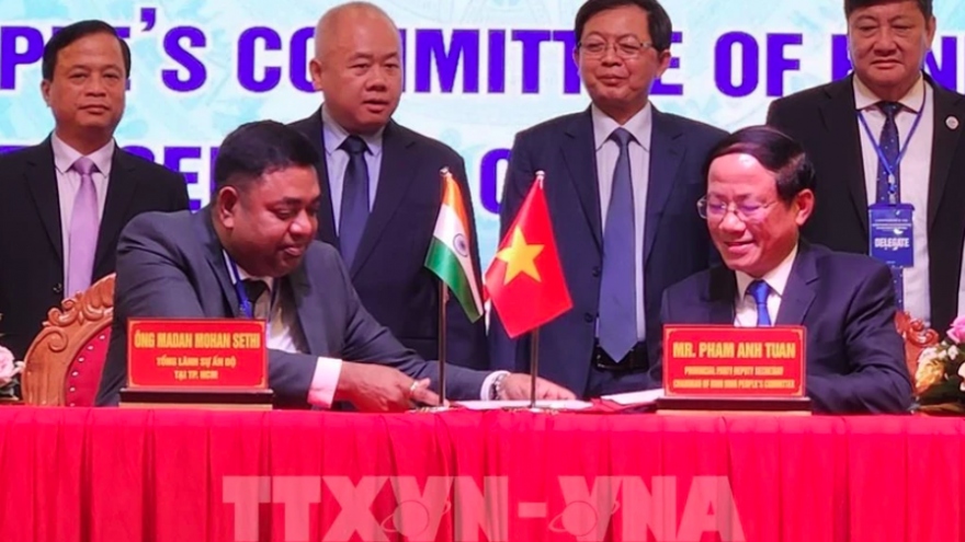 Binh Dinh promotes investment, trade, tourism ties with India