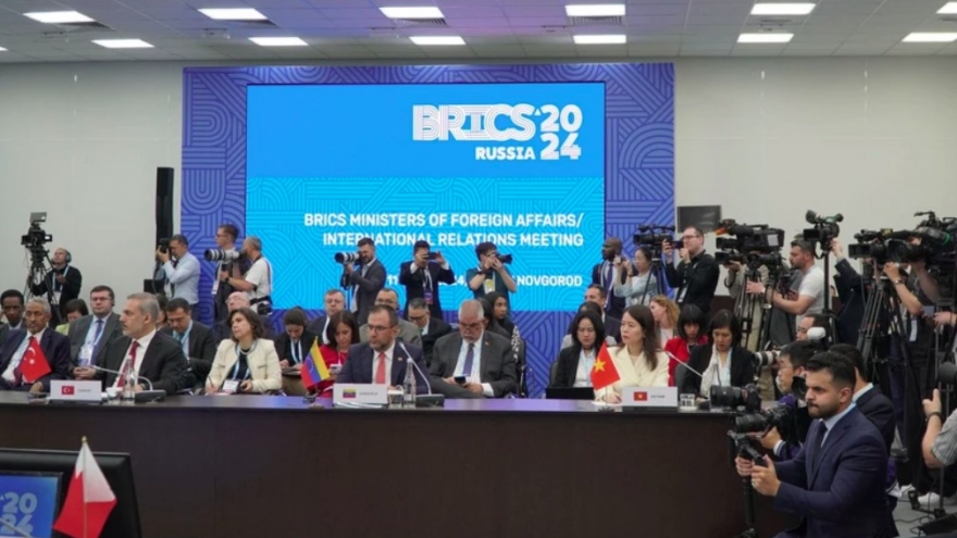 Vietnam attends BRICS Dialogue with Developing Countries