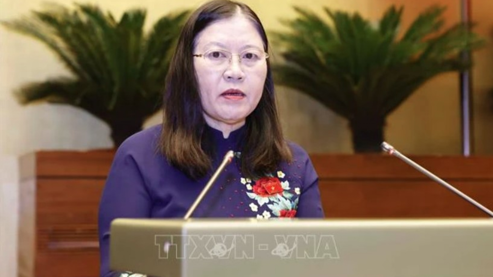 Law on organisation of People's Courts sails through legislature
