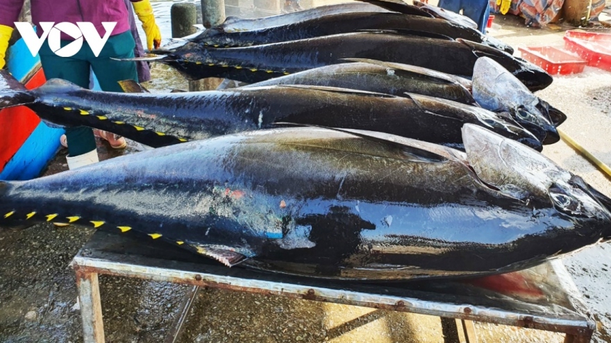 Vietnamese canned tuna exports to US see drastic upturn