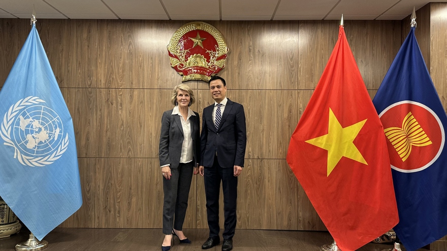 Việt Nam mong muốn Liên Hợp Quốc phối hợp chặt chẽ với ASEAN về vấn đề Myanmar