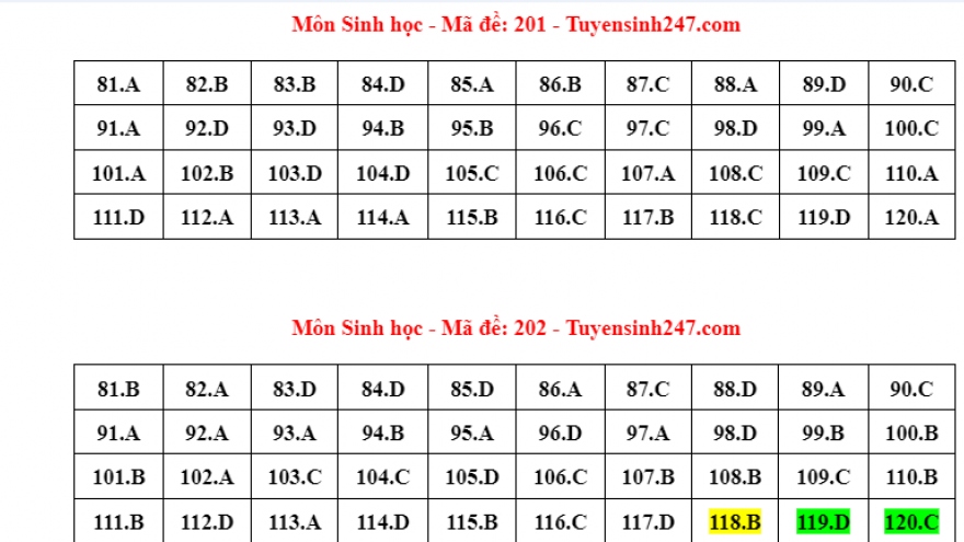 Cập nhật đáp án môn Sinh học kỳ thi tốt nghiệp THPT 2024