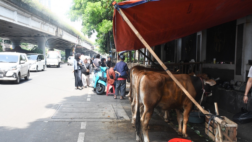 Lễ Eid Al-Adha: Thông điệp về sự đoàn kết và chia sẻ