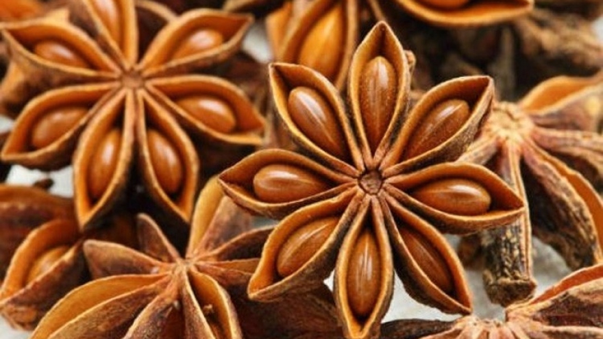 India is main market for Vietnamese star anise exports