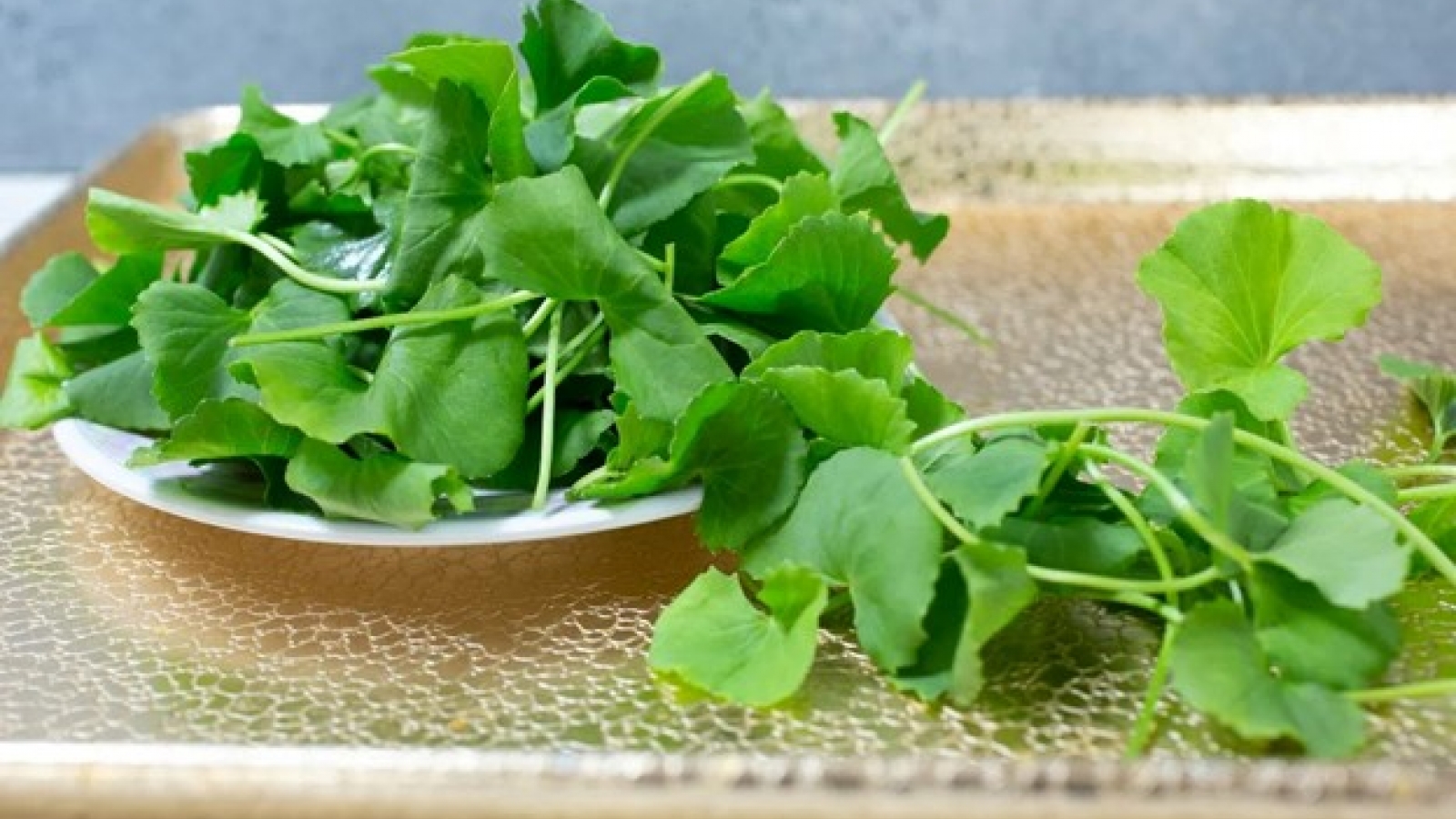 Vị thảo mộc "quý hơn vàng" mọc đầy vườn, nhiều người Việt tiếc hùi hụi vì bỏ phí