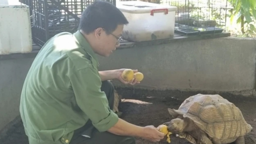 Hospital for wildlife animals operates in the forest