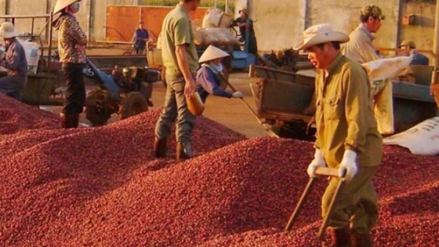 Coffee exports exceed US$3 billion